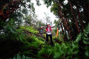 BIB: 
                            <button type="button" onclick="openModal(26204676)" class="btn btn-primary btn-sm float-right btn-popup" data-toggle="modal" data-target=".modal-high-quality">
                        <i class="fas fa-shopping-cart"></i> Add to Cart
                    </button>
                                            <button type="button" onclick="isThisMe(26204676, true)" class="btn btn-success btn-sm float-right btn-popup btn-isme hidden" data-toggle="tooltip" data-placement="bottom" title="นี่คือรูปของคุณใช่ไหม คลิกที่นี่เพื่อเอาเข้าอัลบั้ม">
                        <i class="fas fa-plus"></i> Add to album
                    </button>
                    <button type="button" onclick="isThisMe(26204676, false)" class="btn btn-warning btn-sm float-right btn-popup btn-isnotme hidden">
                        <i class="fas fa-ban"></i> Remove from album
                    </button>